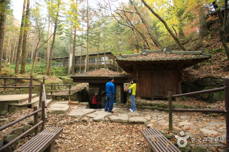 Bangadari Mineral Spring  (5/18)