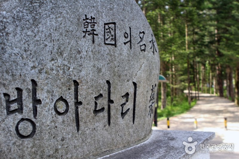 Bangadari Mineral Spring  (9/18)