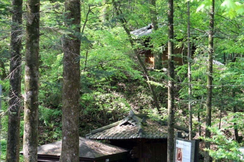 Bangadari Mineral Spring  (13/18)