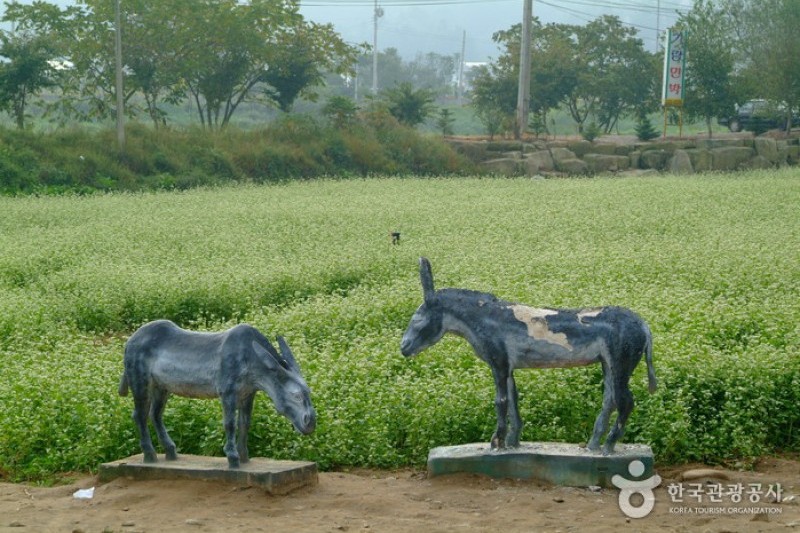 Lee Hyo-seok Culture Village  (18/21)
