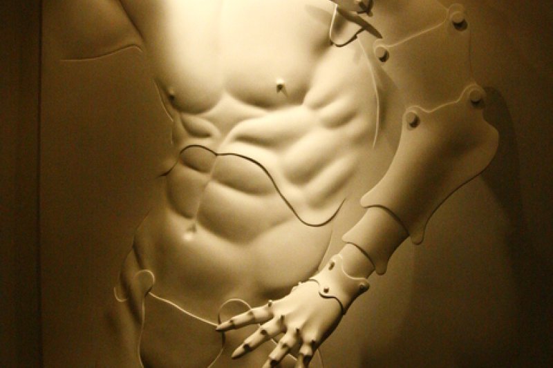 Pyeongchang Biennale  (6/6)