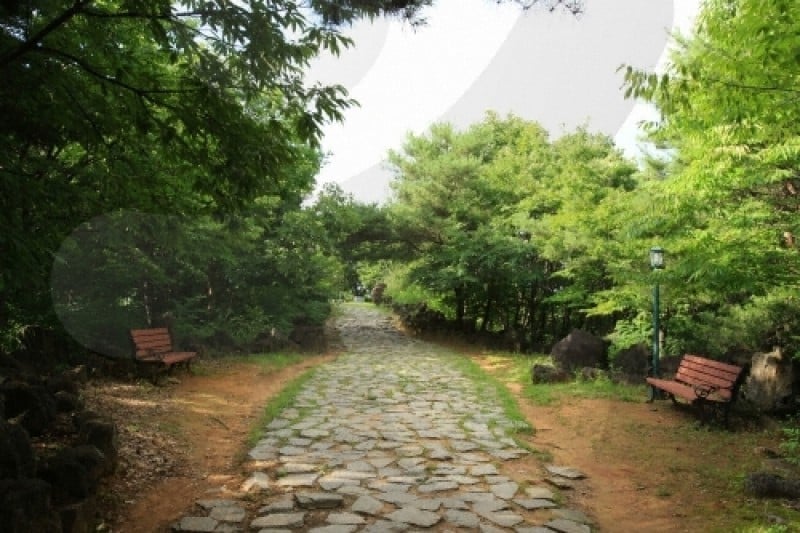 Baengma High Ground Battlefield  (25/43)