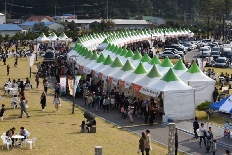Gangneung Coffee Festival  (3/18)