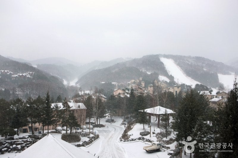 Daegwallyeong Special Tourist Zone  (2/6)