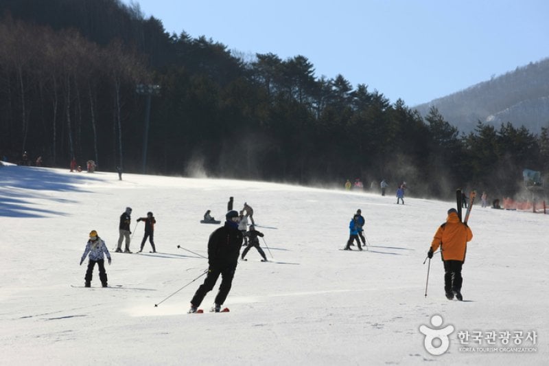 Daegwallyeong Special Tourist Zone  (6/6)