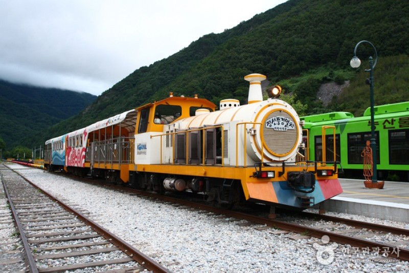 Jeongseon Auraji Rail Bike  (5/5)