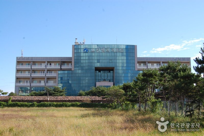 Ocean Valley Resort  (3/16)