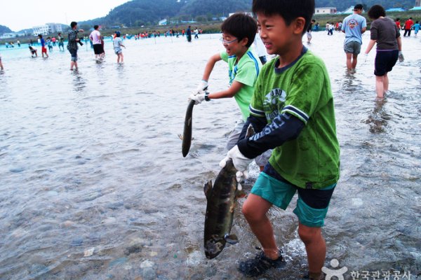 Salmon Festival in Yangyang