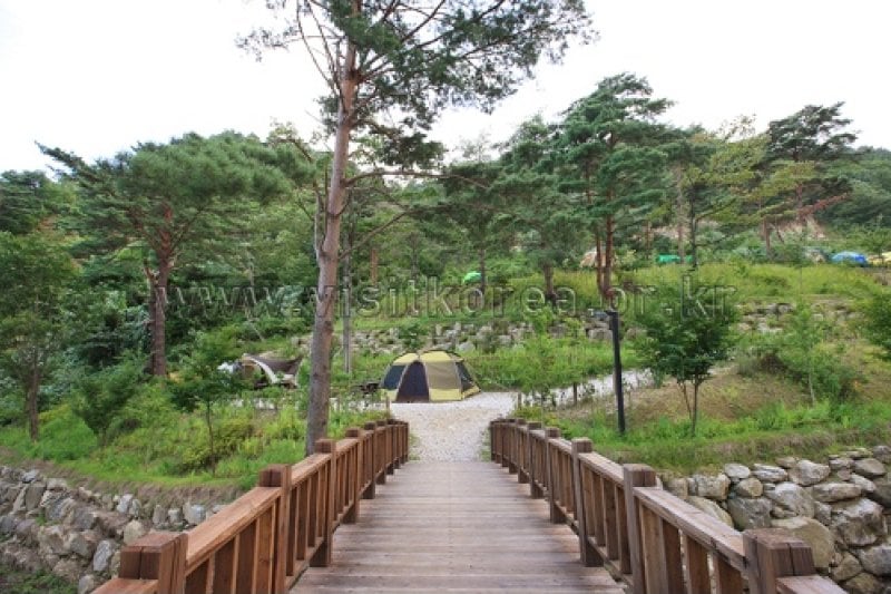 Geombongsan Natural Recreation Forest  (14/27)