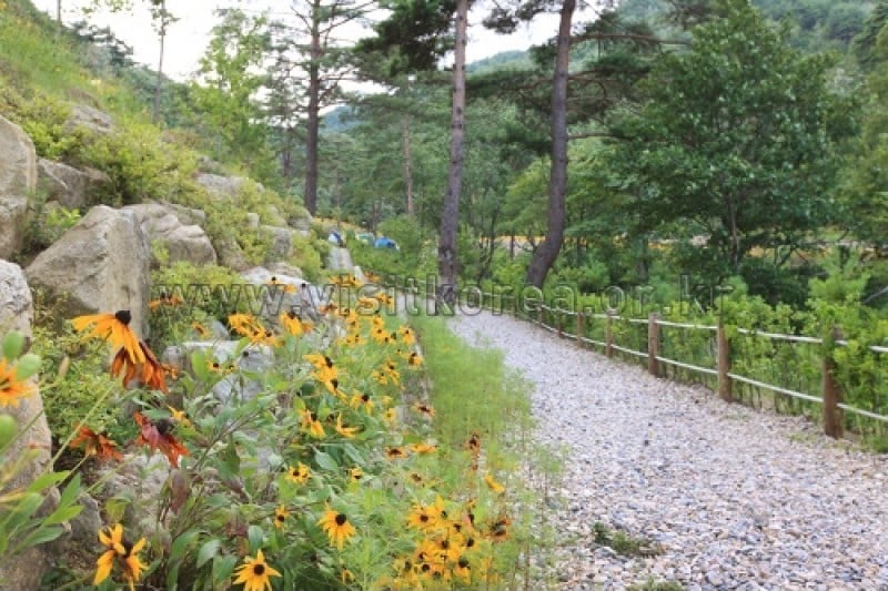 Geombongsan Natural Recreation Forest  (16/27)