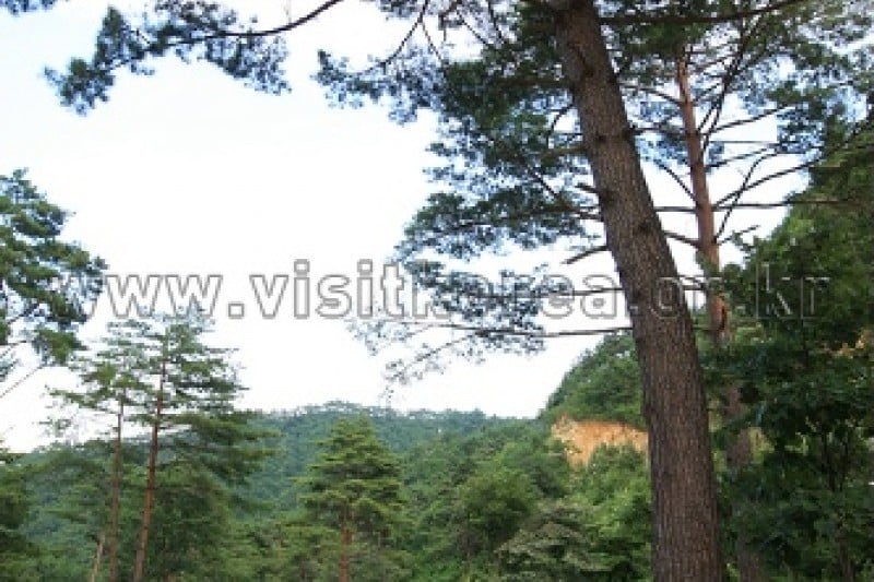 Geombongsan Natural Recreation Forest  (25/27)