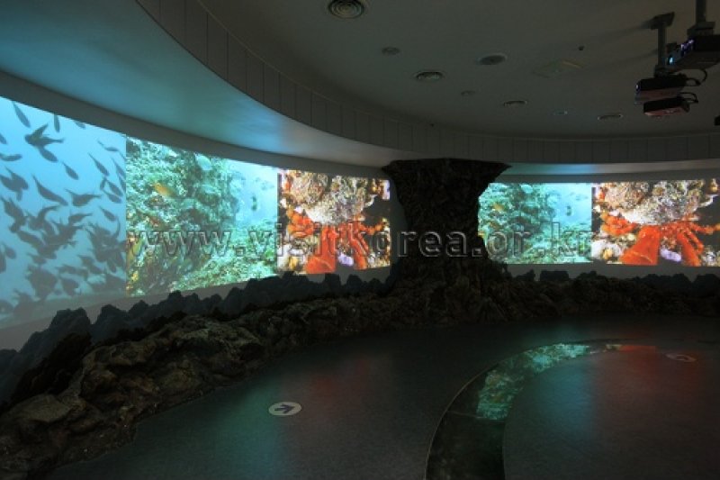 Samcheok Fishing Village Folk Museum  (15/39)
