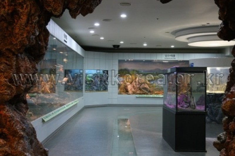 Samcheok Fishing Village Folk Museum  (18/39)