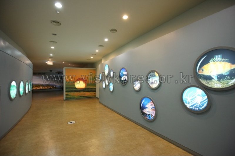 Samcheok Fishing Village Folk Museum  (29/39)