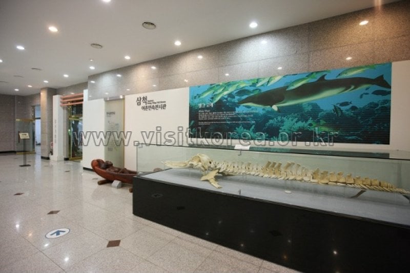 Samcheok Fishing Village Folk Museum  (31/39)