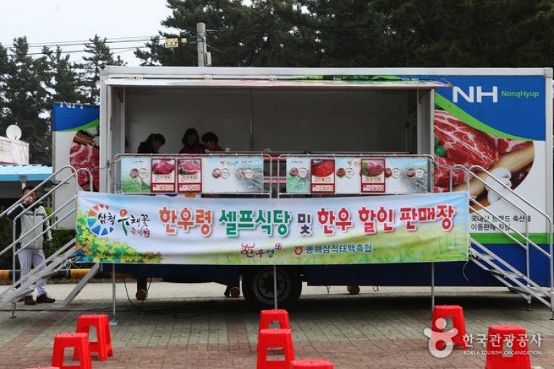Samcheok Maengbang Canola Flower Festival  (9/15)