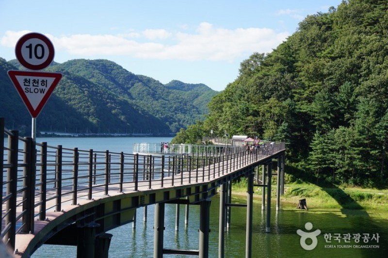 Uiamho Lake Skywalk  (1/7)