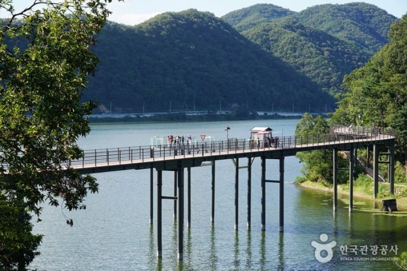 Uiamho Lake Skywalk  (3/7)