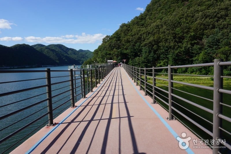 Uiamho Lake Skywalk  (4/7)