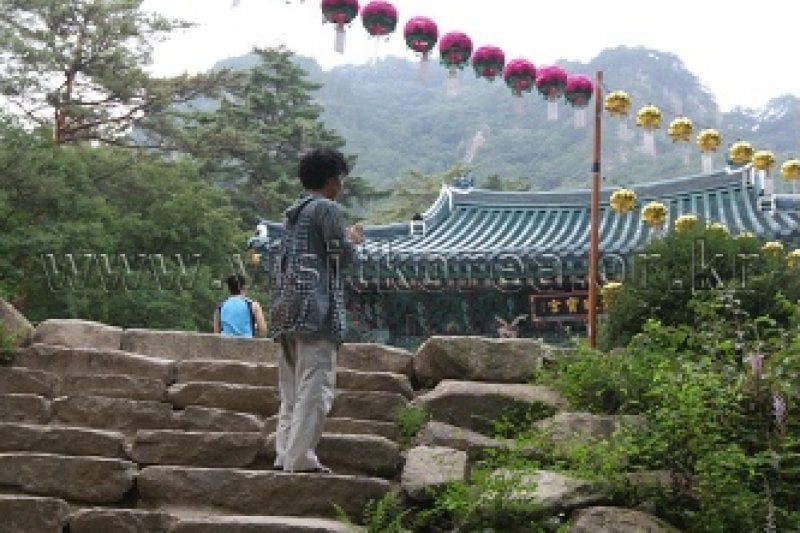 Beopheungsa Temple  (10/17)
