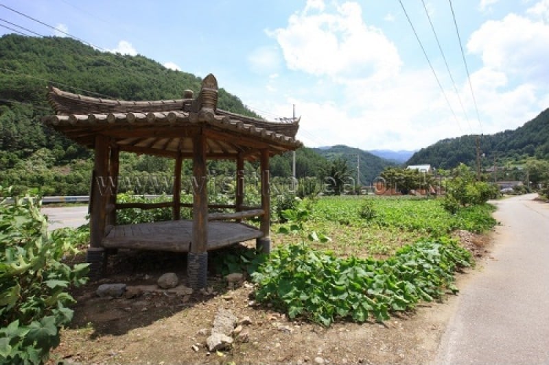 Samcheok Deokpung Valley Village  (4/14)