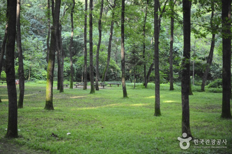 Yungneung / Geolleung Royal Tomb (a.k.a, Yunggeolleung) [UNESCO World Heritage] (7/8)