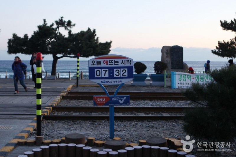 Jeongdongjin Sunrise Park  (1/21)