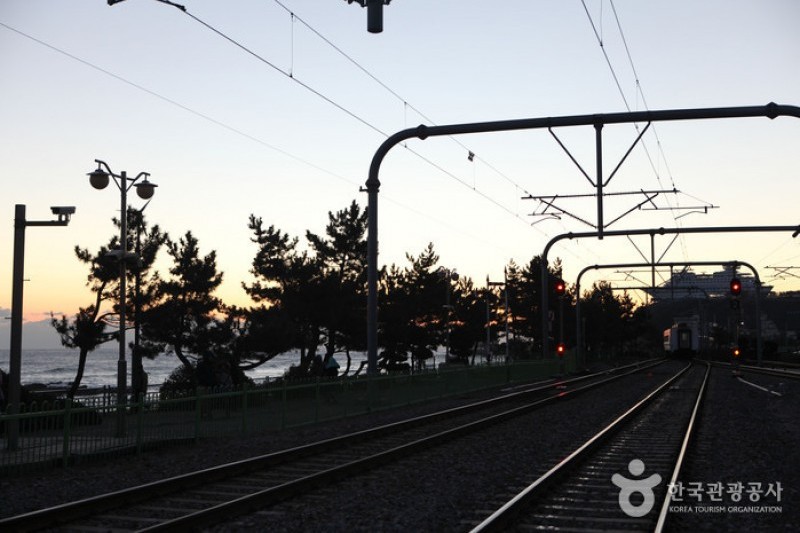 Jeongdongjin Sunrise Park  (2/21)