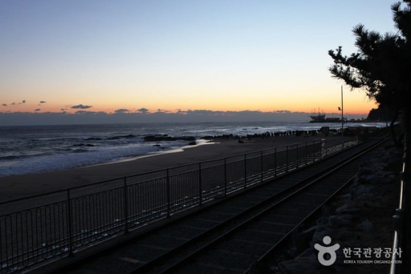 Jeongdongjin Sunrise Park  (4/21)