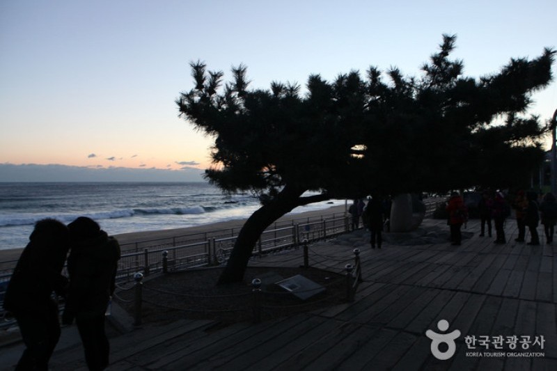 Jeongdongjin Sunrise Park  (5/21)