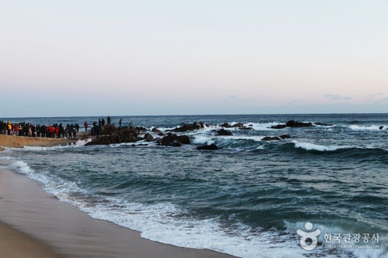 Jeongdongjin Sunrise Park  (8/21)