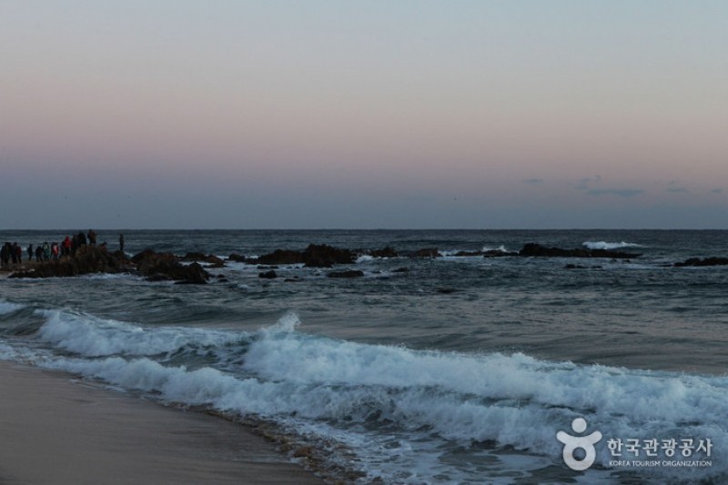 Jeongdongjin Sunrise Park  (10/21)