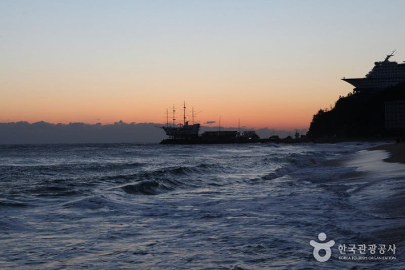 Jeongdongjin Sunrise Park  (11/21)