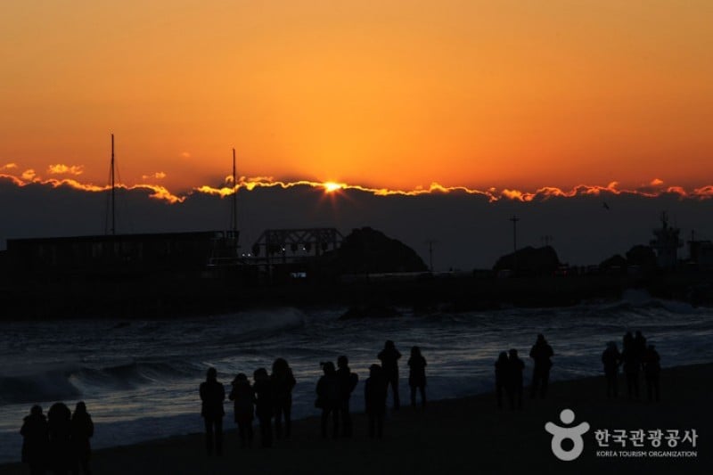 Jeongdongjin Sunrise Park  (17/21)
