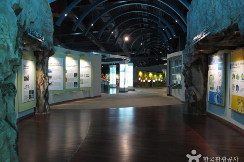 Seoraksan National Park Visitor Center  (5/25)