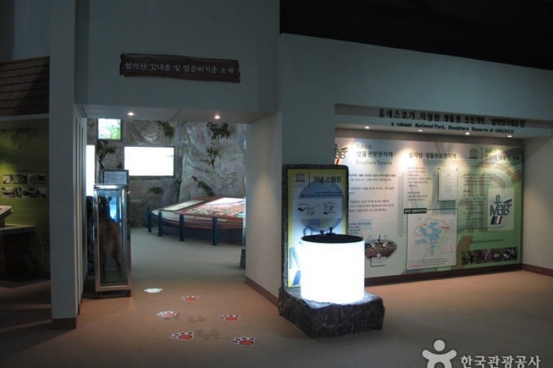Seoraksan National Park Visitor Center  (7/25)