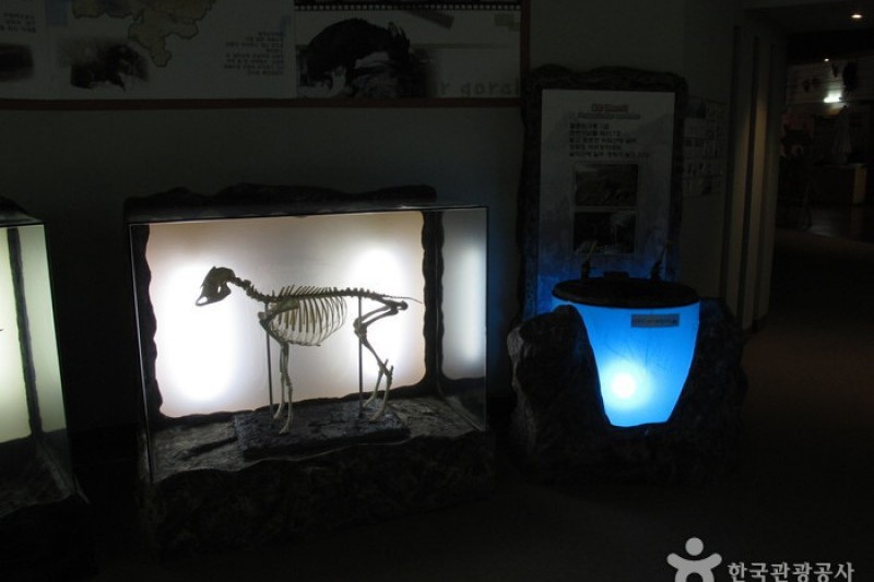 Seoraksan National Park Visitor Center  (8/25)