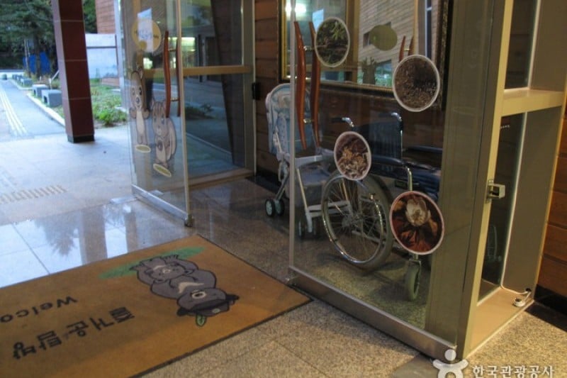 Seoraksan National Park Visitor Center  (12/25)