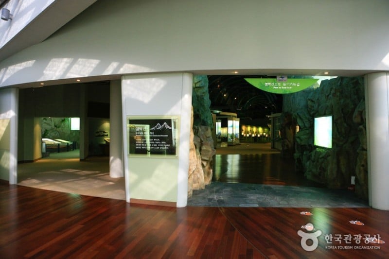 Seoraksan National Park Visitor Center  (15/25)