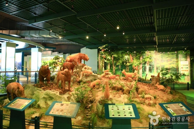 Seoraksan National Park Visitor Center  (18/25)