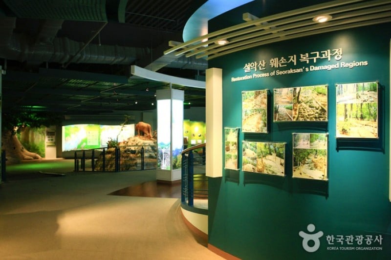 Seoraksan National Park Visitor Center  (20/25)