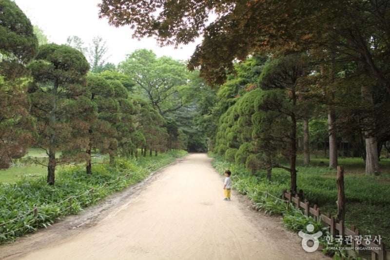 Jeong Gwan Ru  (4/17)