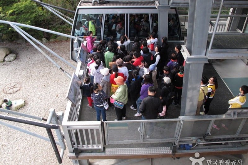 Seorak Sogongwon Cable Car Tour  (7/23)