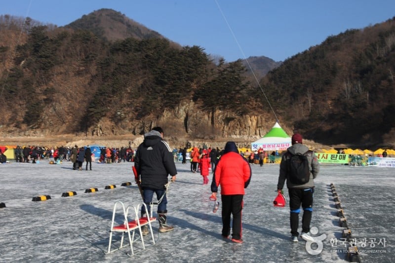 Inje Icefish Festival (인제 빙어축제) (1/17)