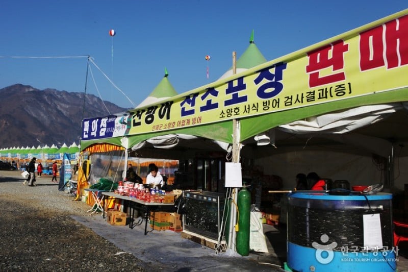 Inje Icefish Festival (인제 빙어축제) (2/17)