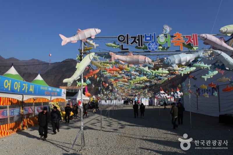 Inje Icefish Festival (인제 빙어축제) (3/17)