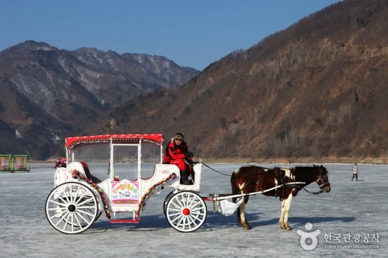 Inje Icefish Festival (인제 빙어축제) (5/17)