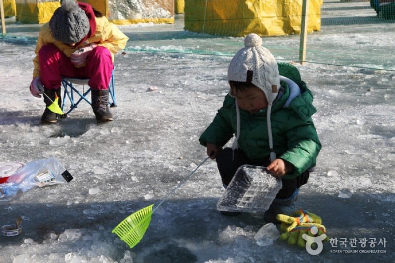 Inje Icefish Festival (인제 빙어축제) (7/17)