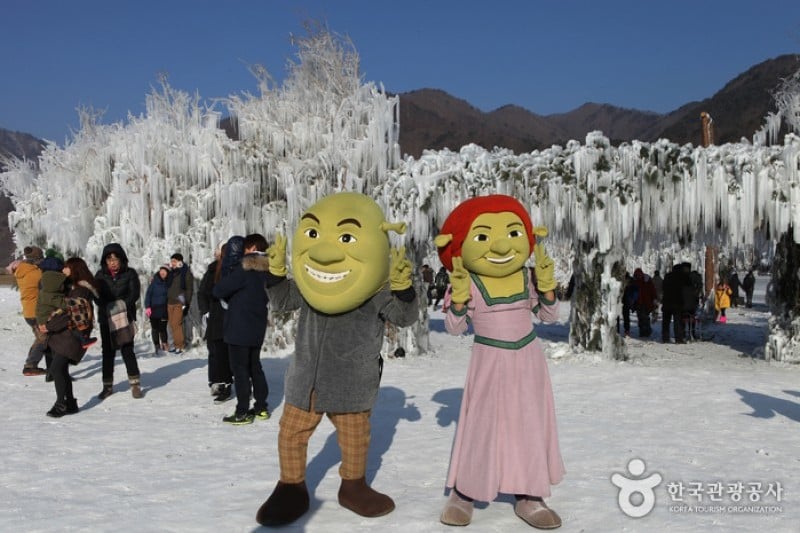 Inje Icefish Festival (인제 빙어축제) (8/17)