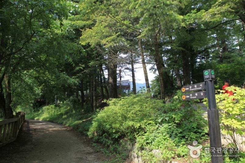 Woljeongsa Temple  (49/51)